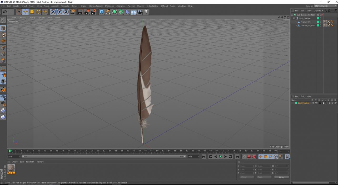 Gull Feather 3D