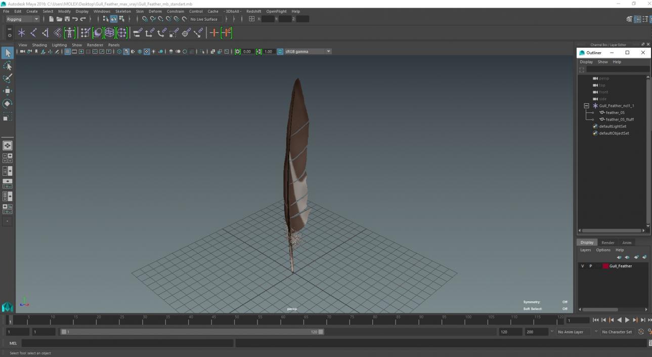 Gull Feather 3D