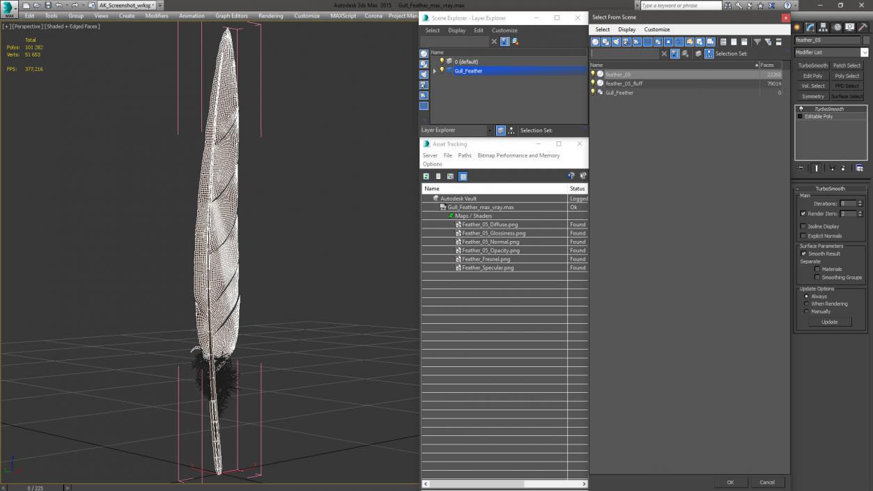 Gull Feather 3D