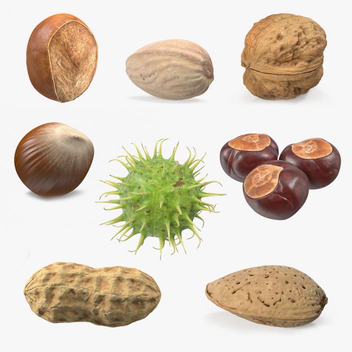 Nuts Collection 8 3D