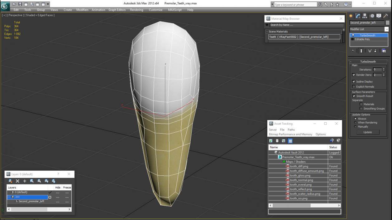 Premolar Teeth 3D model