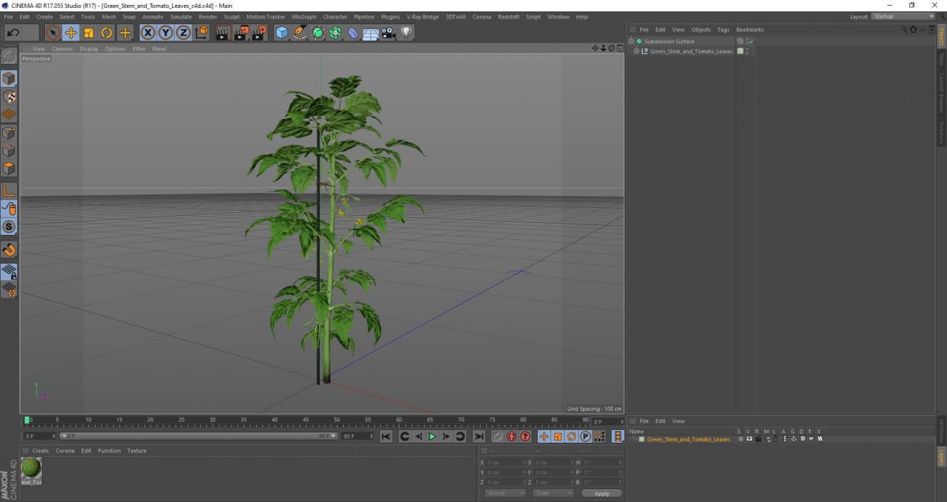 3D Green Stem and Tomato Leaves model