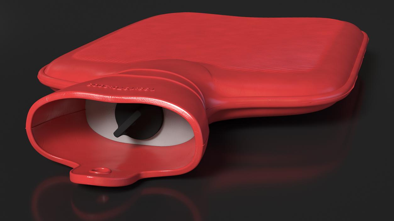 3D Rubber Hot Water Bottle model