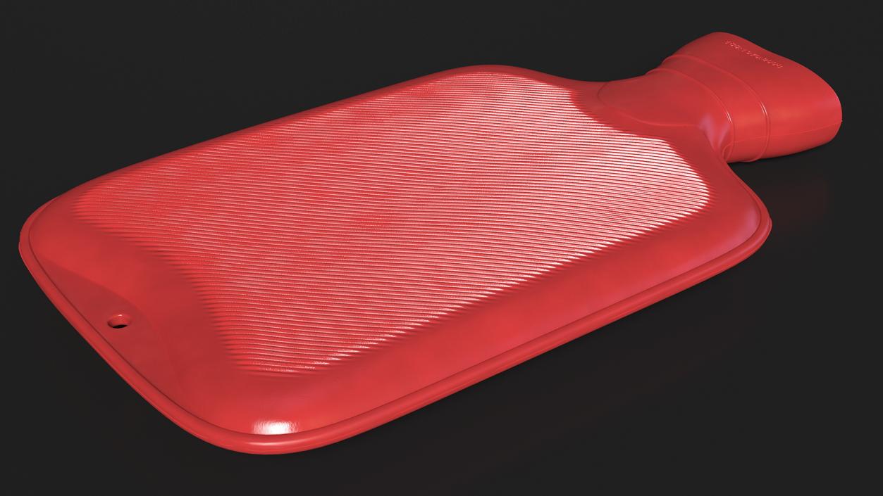 3D Rubber Hot Water Bottle model