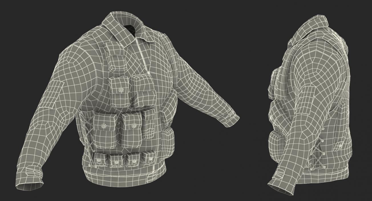 Military Shirt and Camouflage Vest 3D model