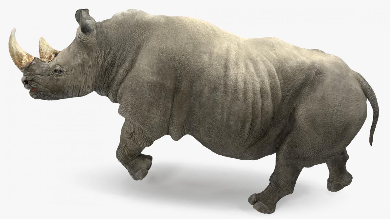 3D Rhino Running Pose model