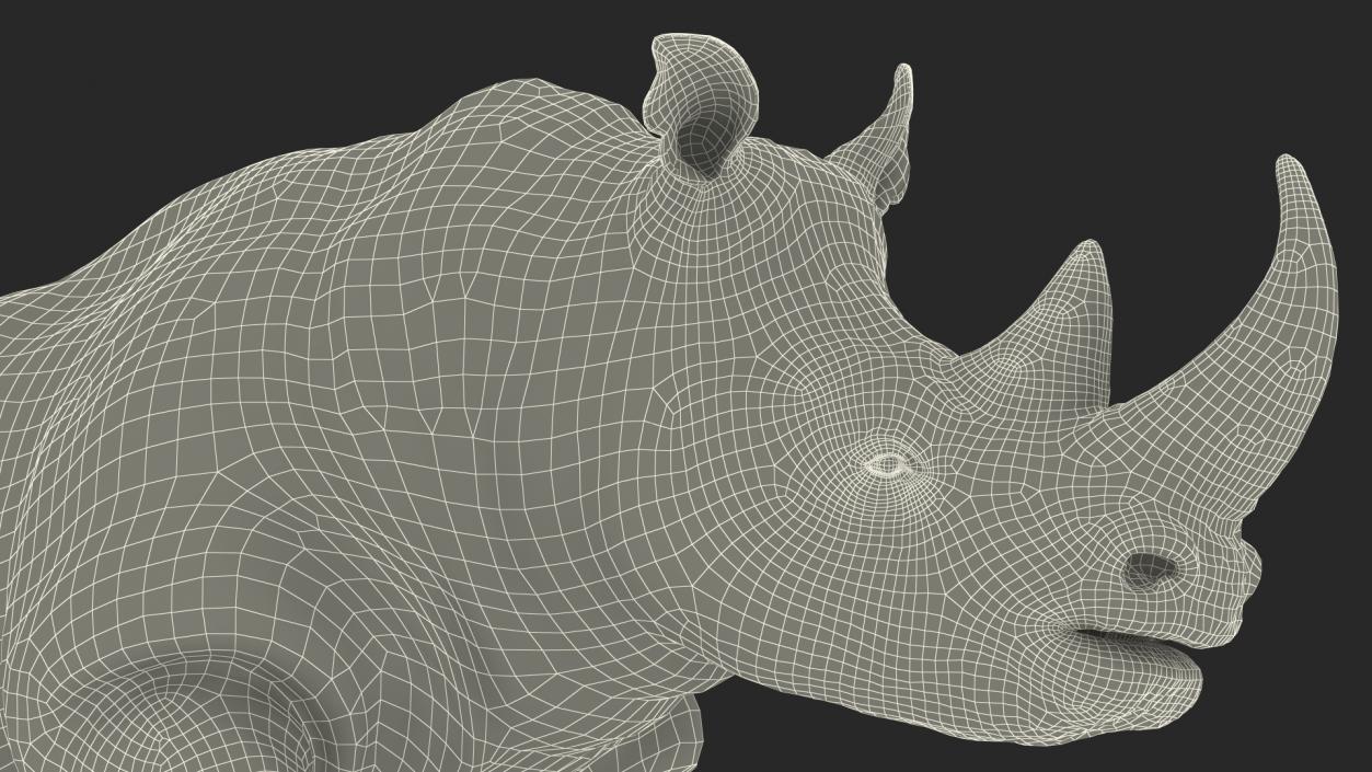 3D Rhino Running Pose model