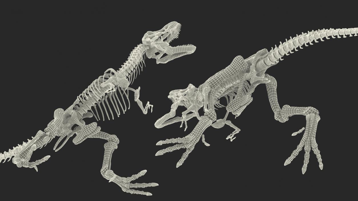 3D model Tyrannosaurus Rex Skeleton Standing Pose