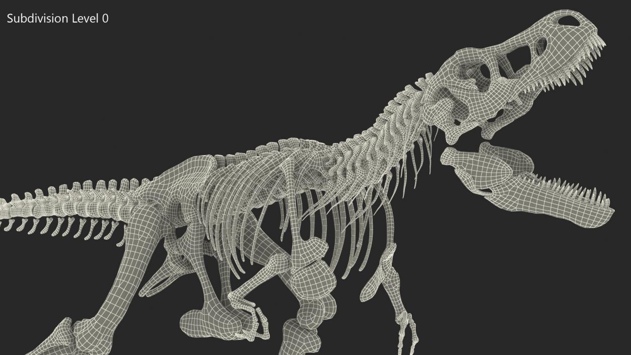 3D model Tyrannosaurus Rex Skeleton Standing Pose