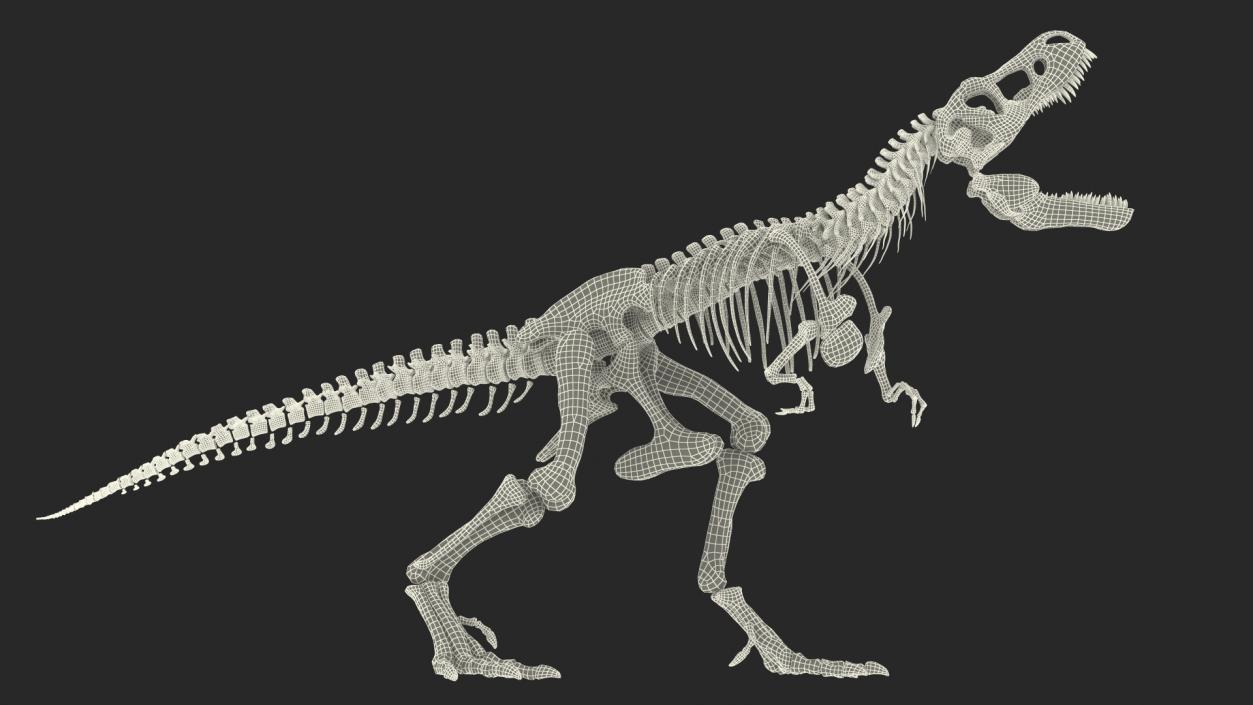 3D model Tyrannosaurus Rex Skeleton Standing Pose