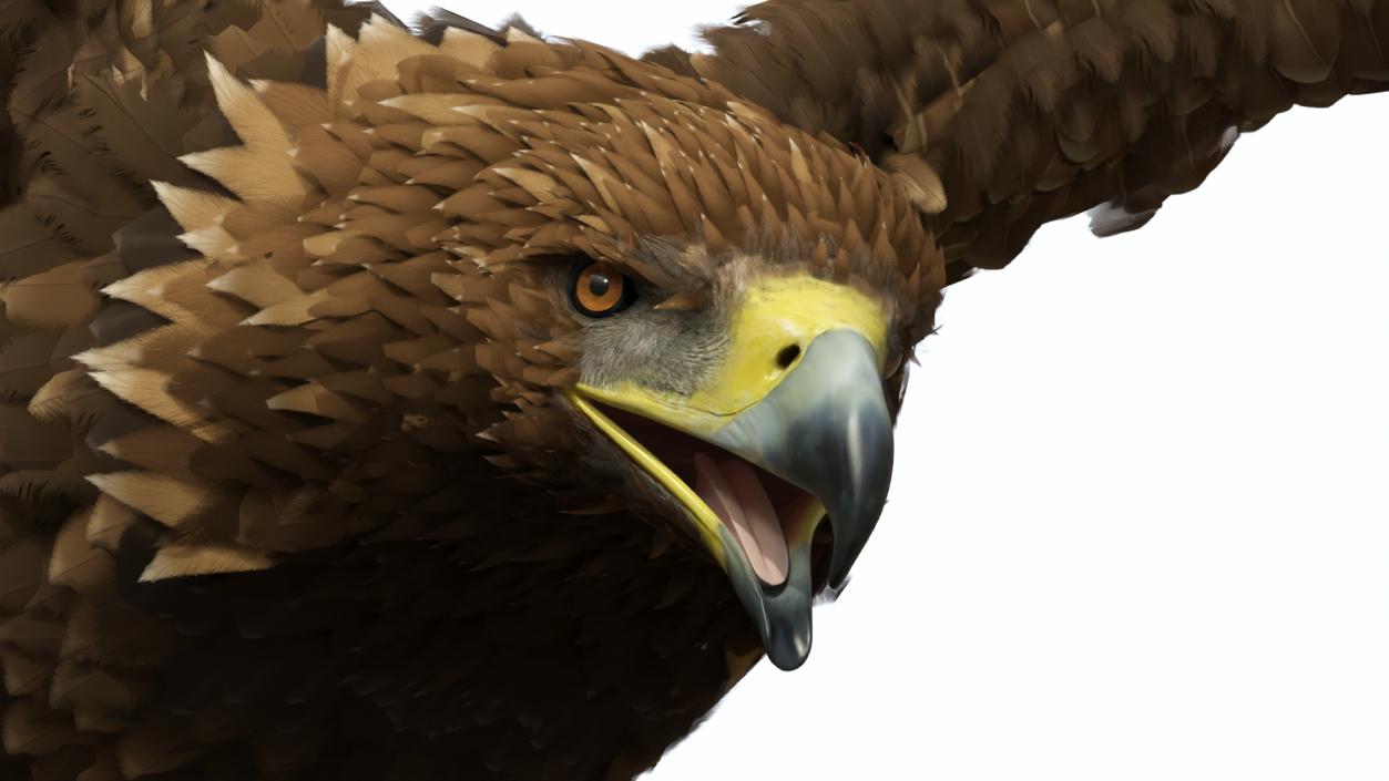 Flying Golden Eagle 3D model