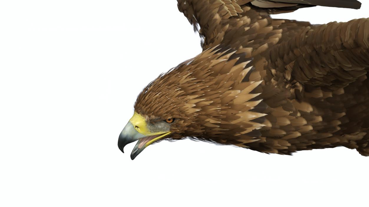 Flying Golden Eagle 3D model