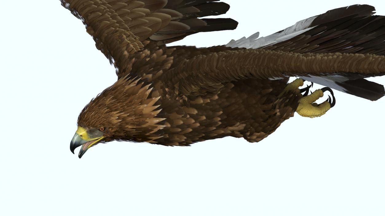 Flying Golden Eagle 3D model