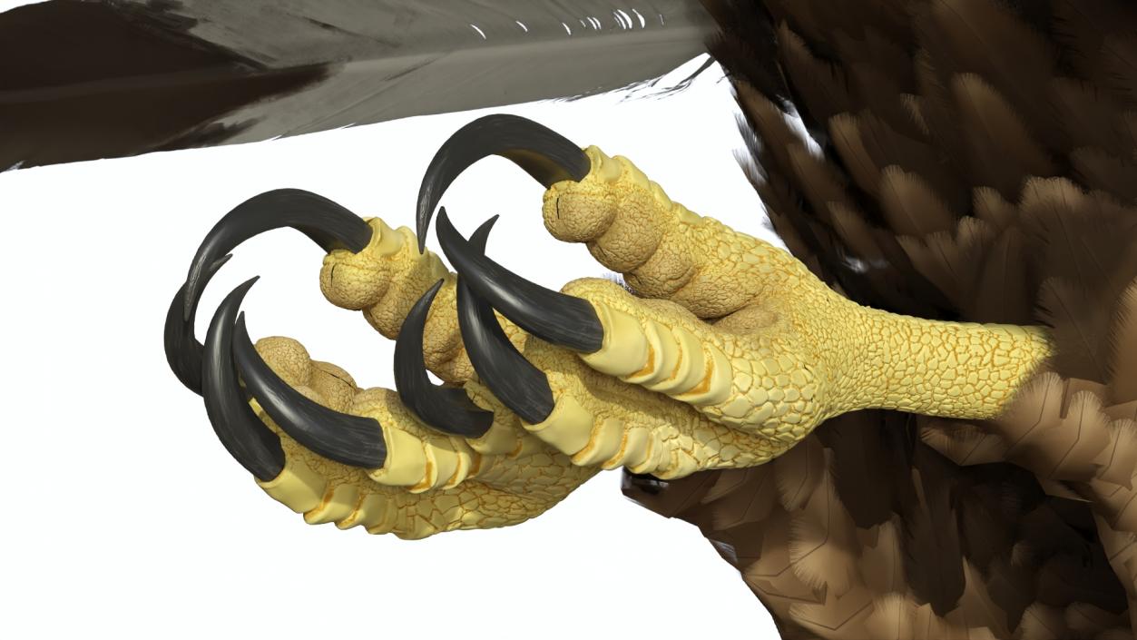 Flying Golden Eagle 3D model