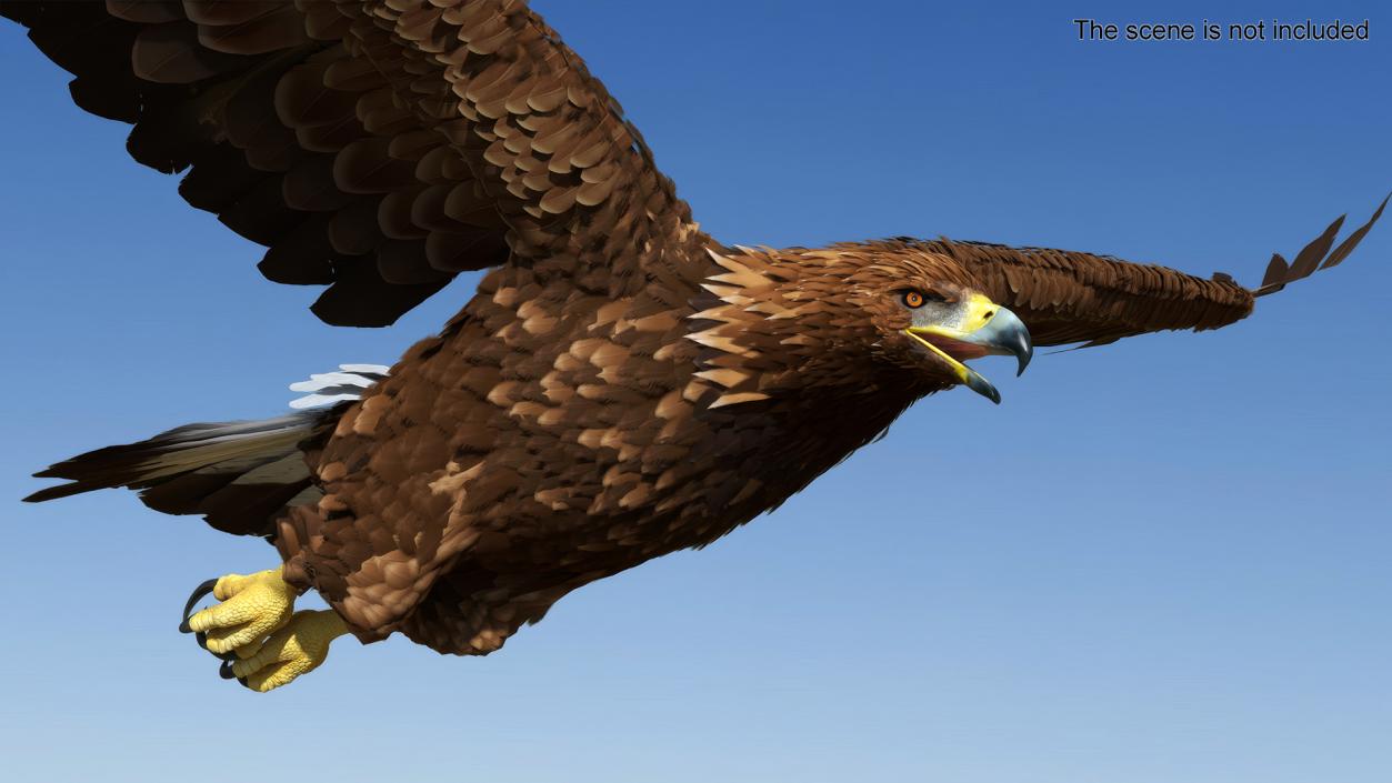 Flying Golden Eagle 3D model