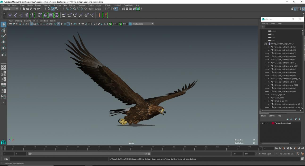 Flying Golden Eagle 3D model