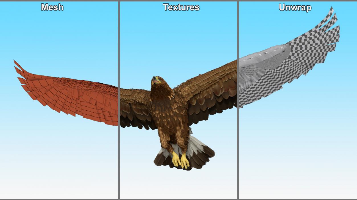 Flying Golden Eagle 3D model