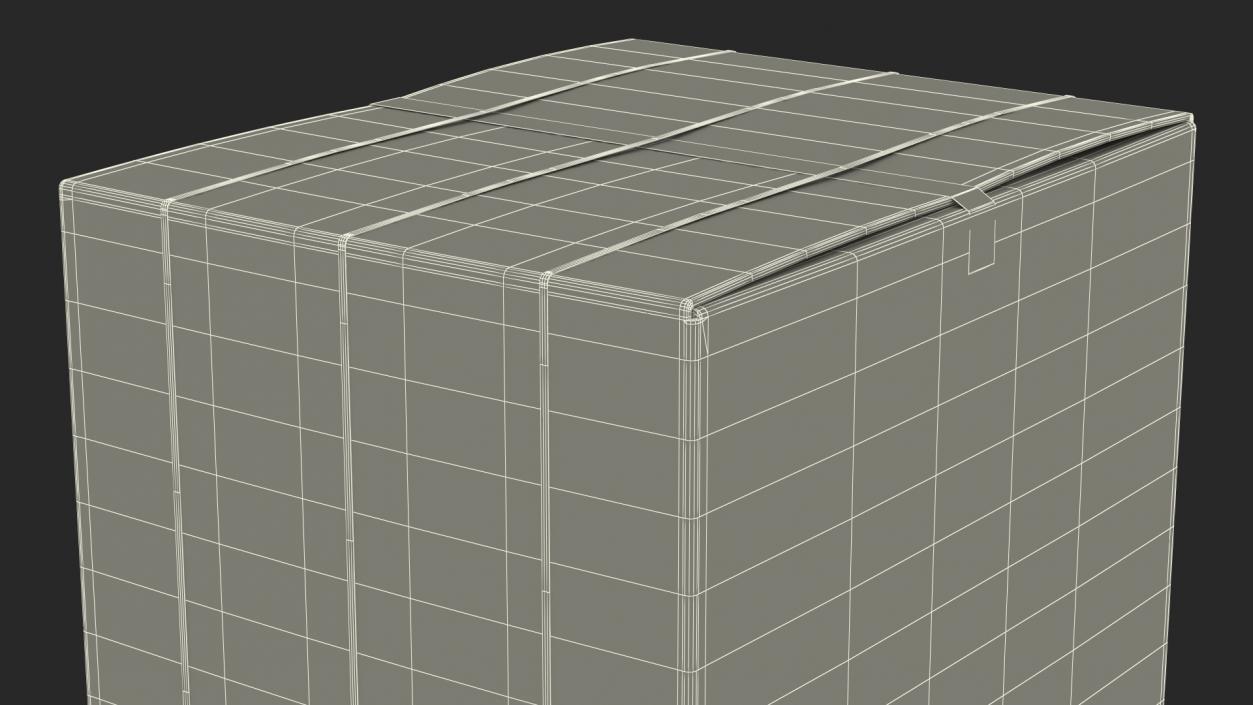 3D Old Large Cardboard Box model