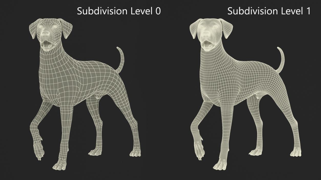 Spotted Standing Dalmatian Dog Fur 3D model