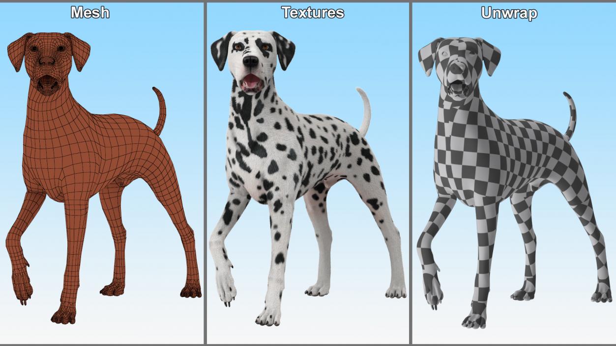 Spotted Standing Dalmatian Dog Fur 3D model