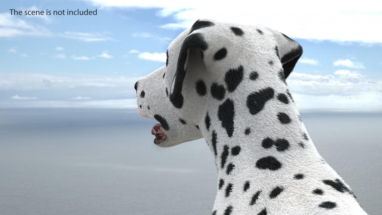 Spotted Standing Dalmatian Dog Fur 3D model