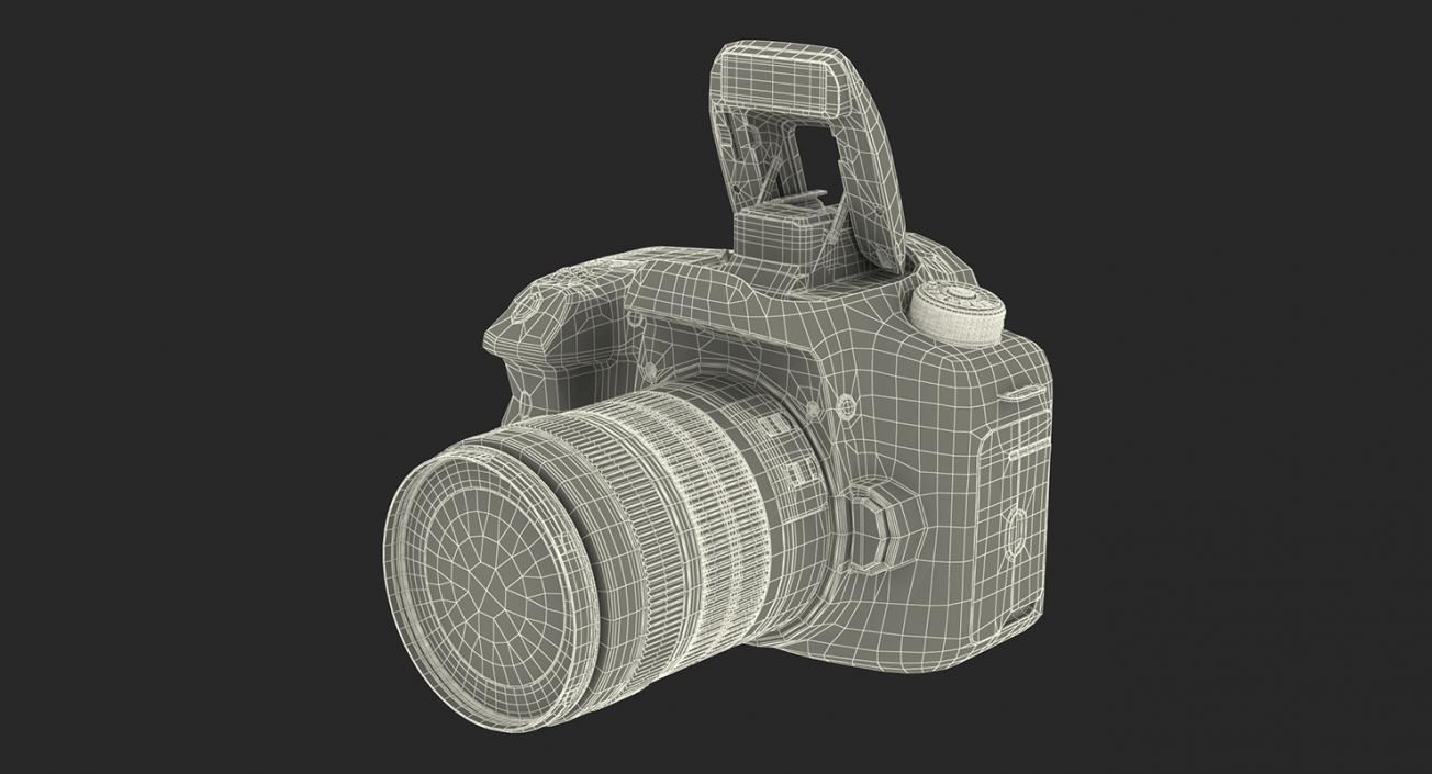 Canon EOS 7D Mark II and Bag 3D Models Collection 3D model