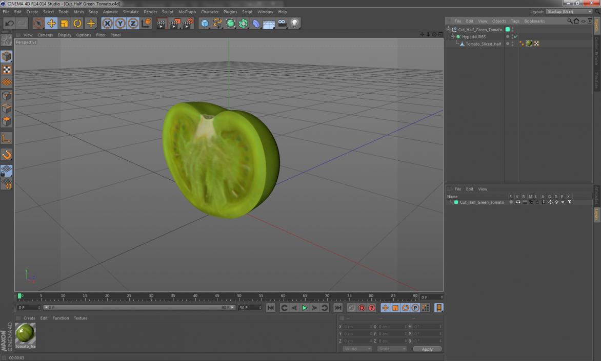 3D Cut Half Green Tomato