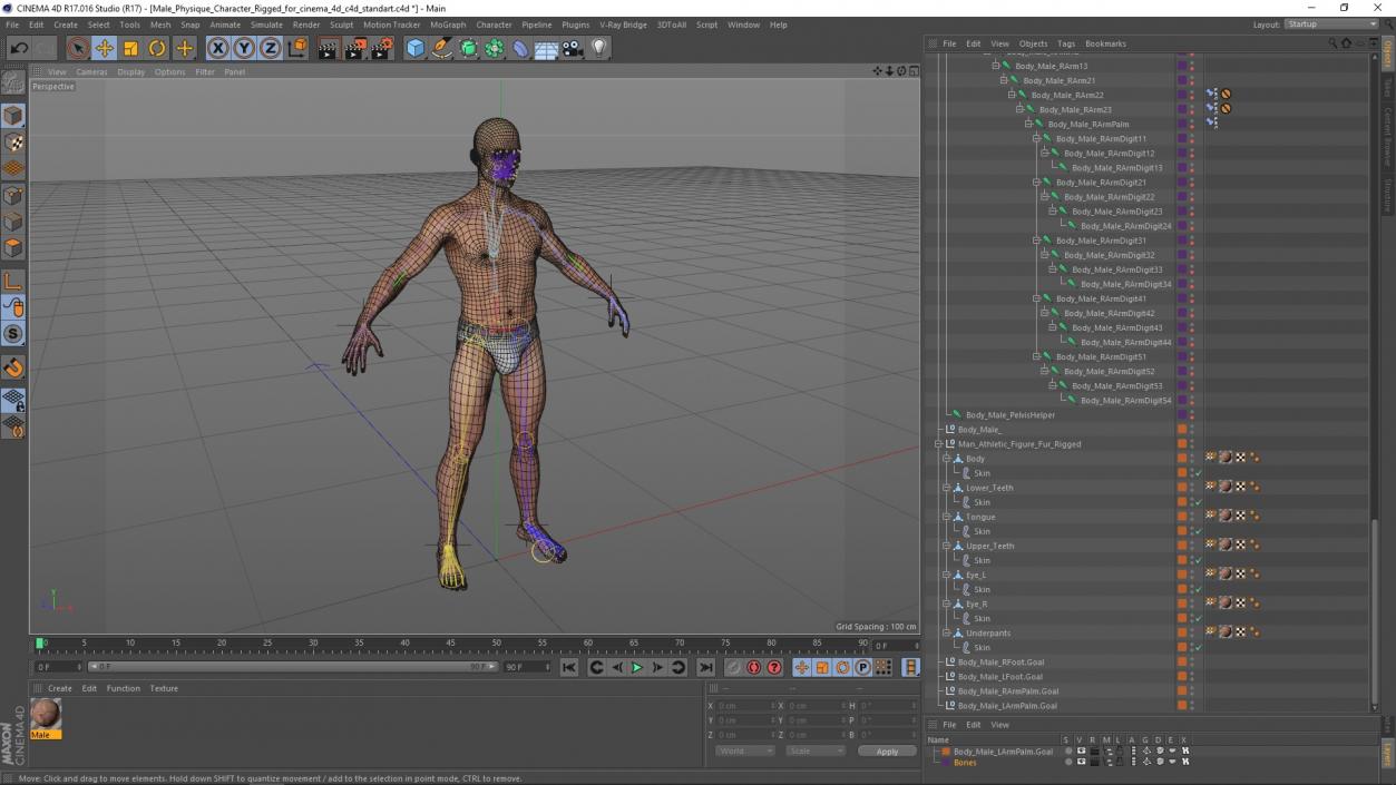 Male Physique Character Rigged for Cinema 4D 3D model