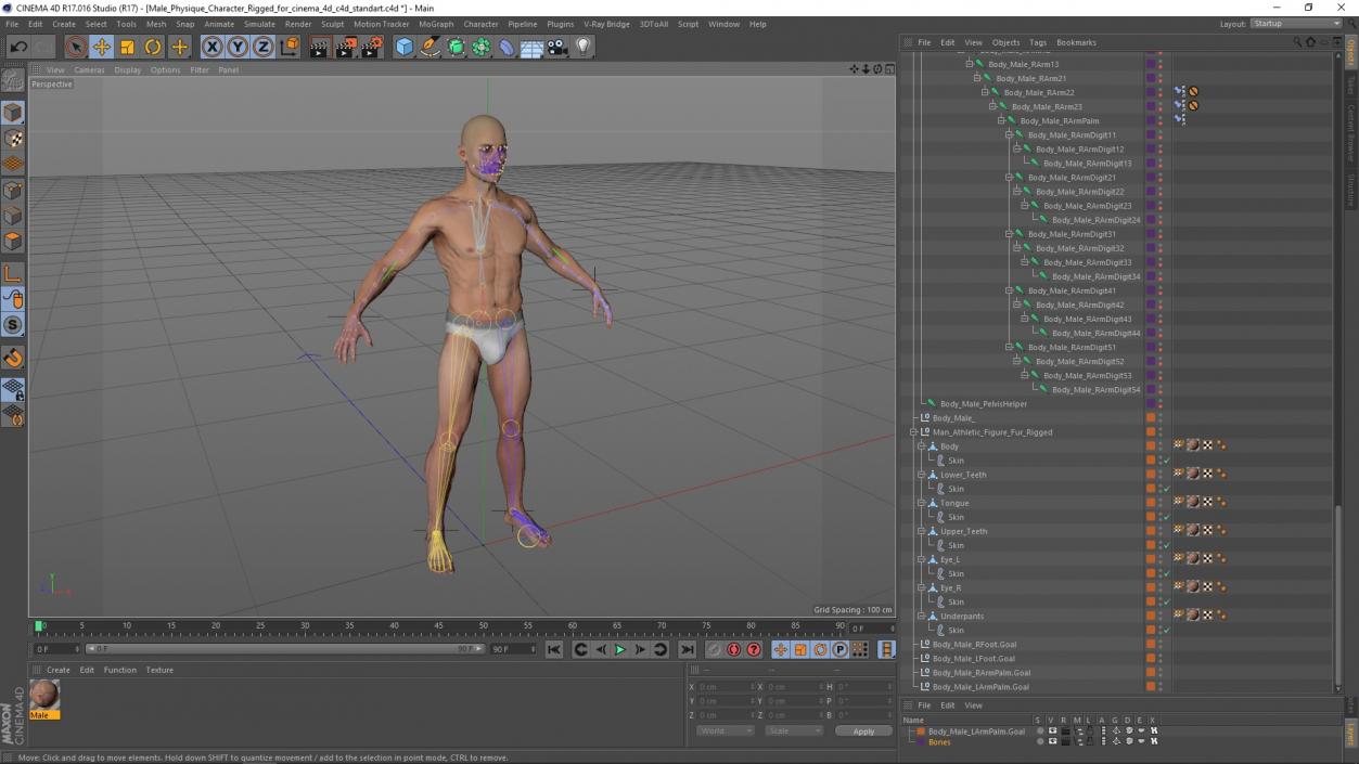 Male Physique Character Rigged for Cinema 4D 3D model