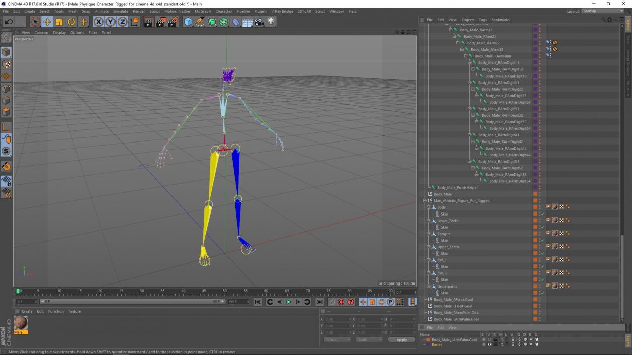 Male Physique Character Rigged for Cinema 4D 3D model