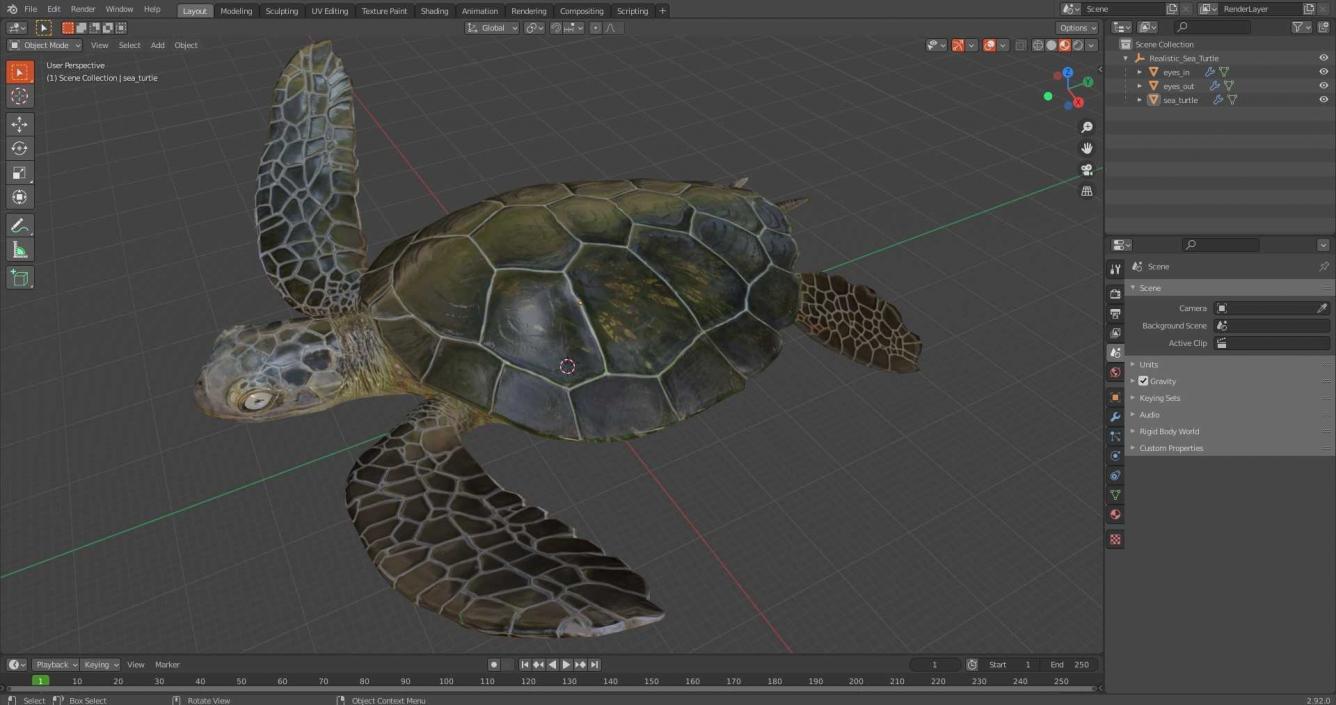 3D model Realistic Sea Turtle