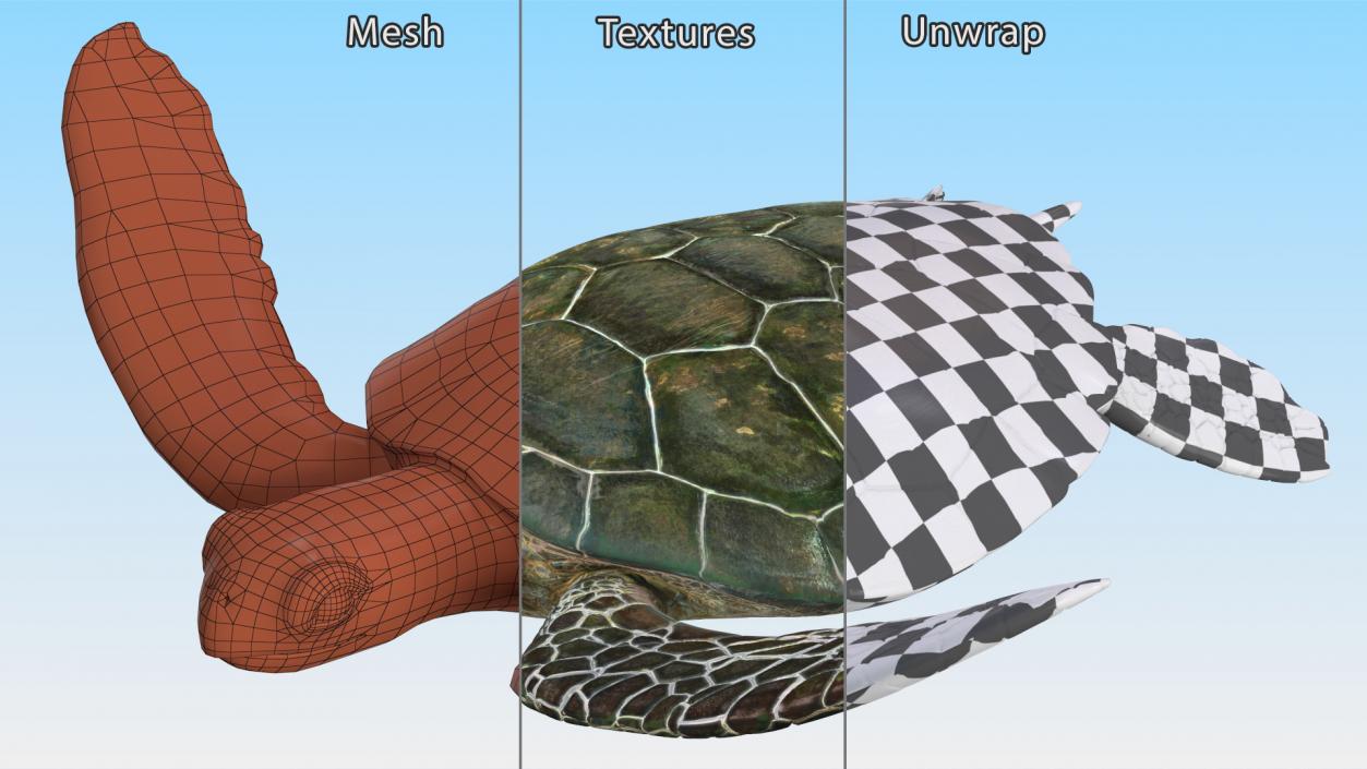 3D model Realistic Sea Turtle