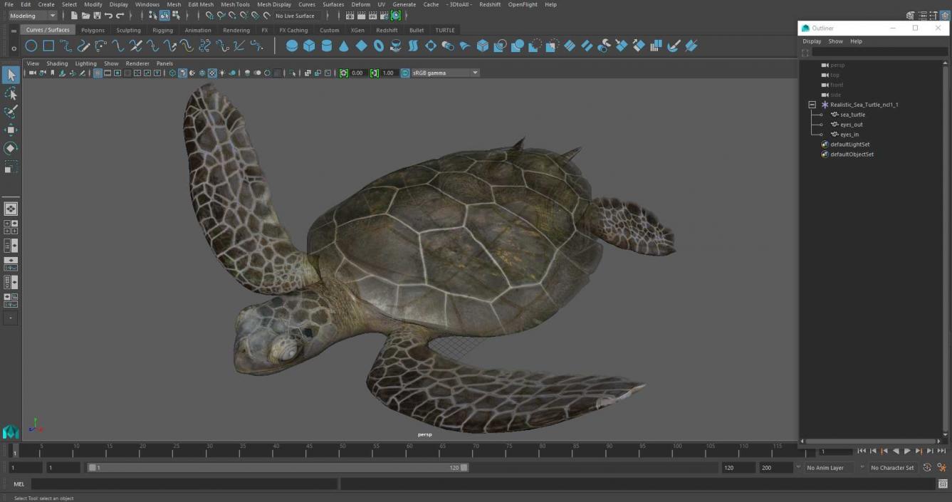 3D model Realistic Sea Turtle