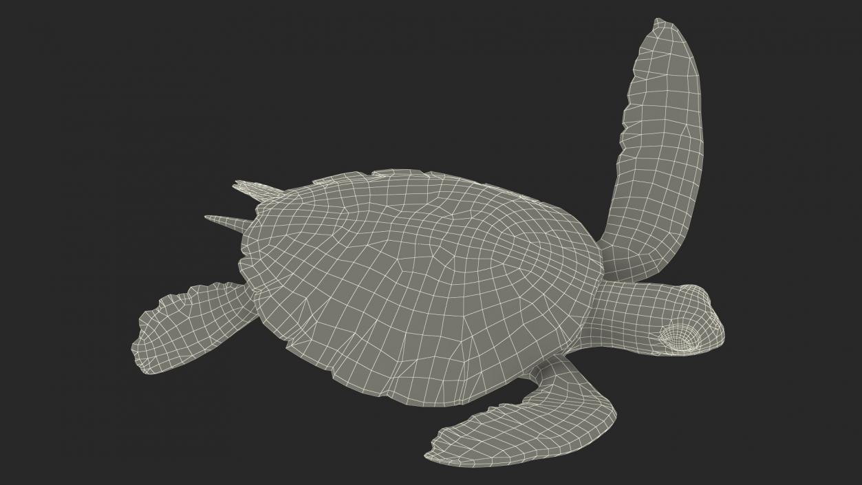 3D model Realistic Sea Turtle