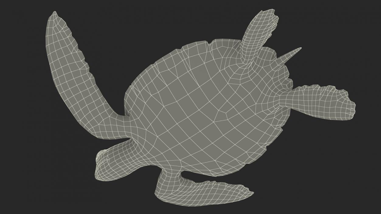 3D model Realistic Sea Turtle