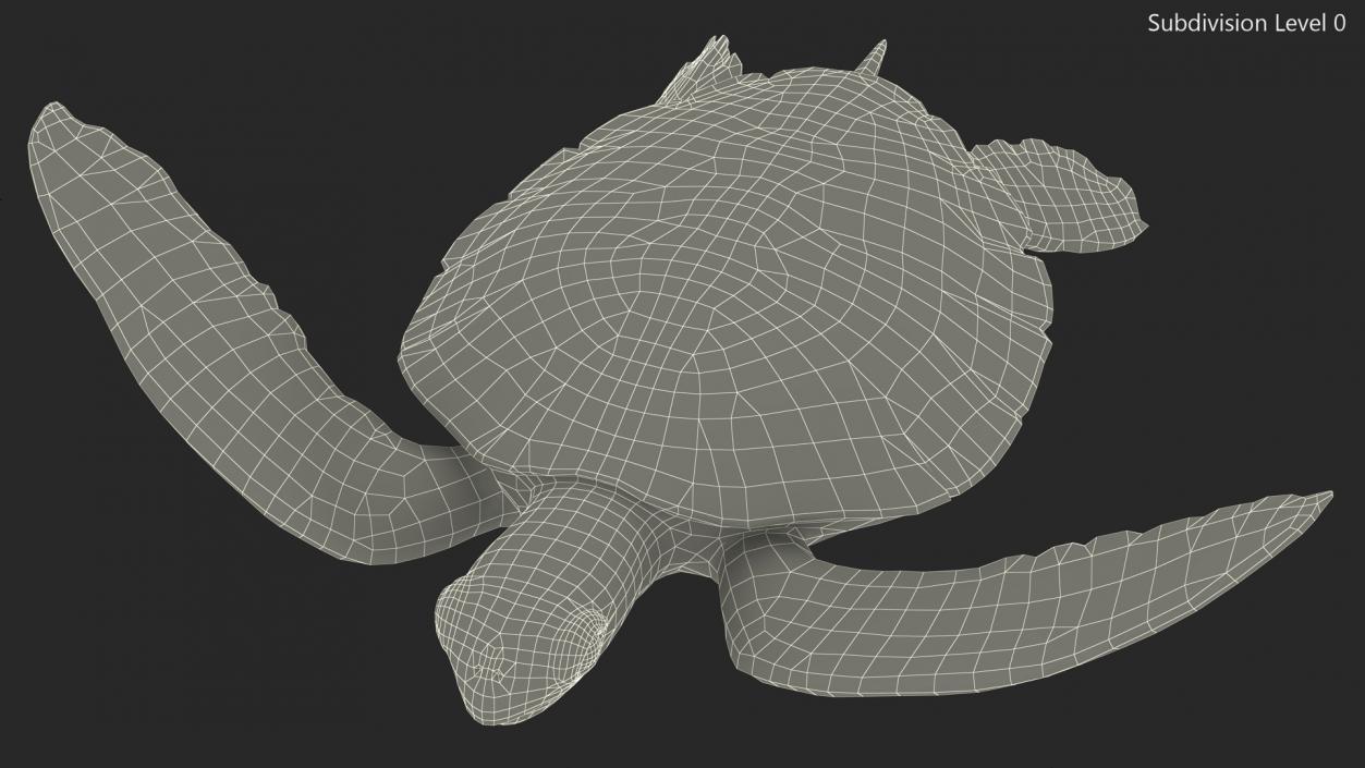 3D model Realistic Sea Turtle