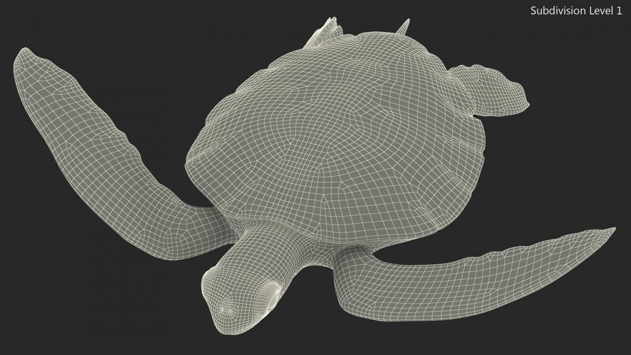 3D model Realistic Sea Turtle