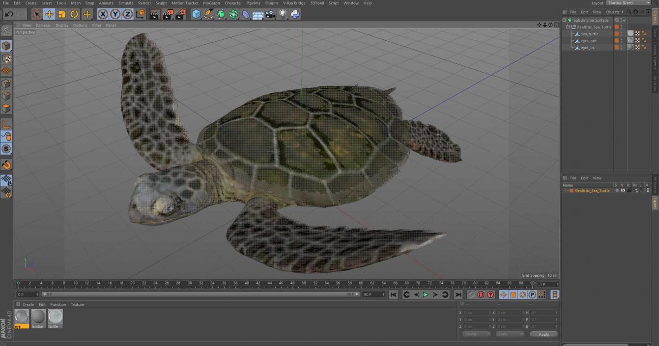 3D model Realistic Sea Turtle