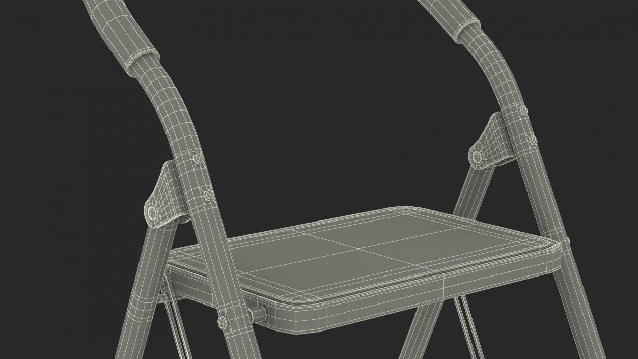 2 Step Ladder Folding Step Stool Rigged 3D model