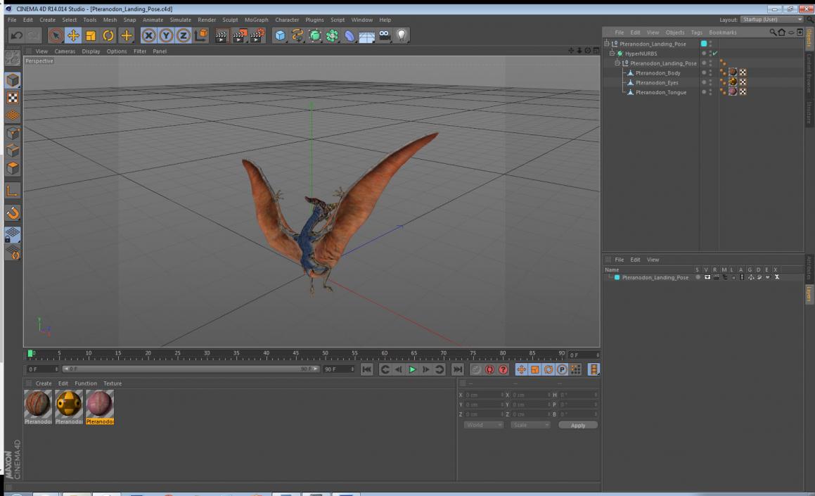 3D Pteranodon Landing Pose model