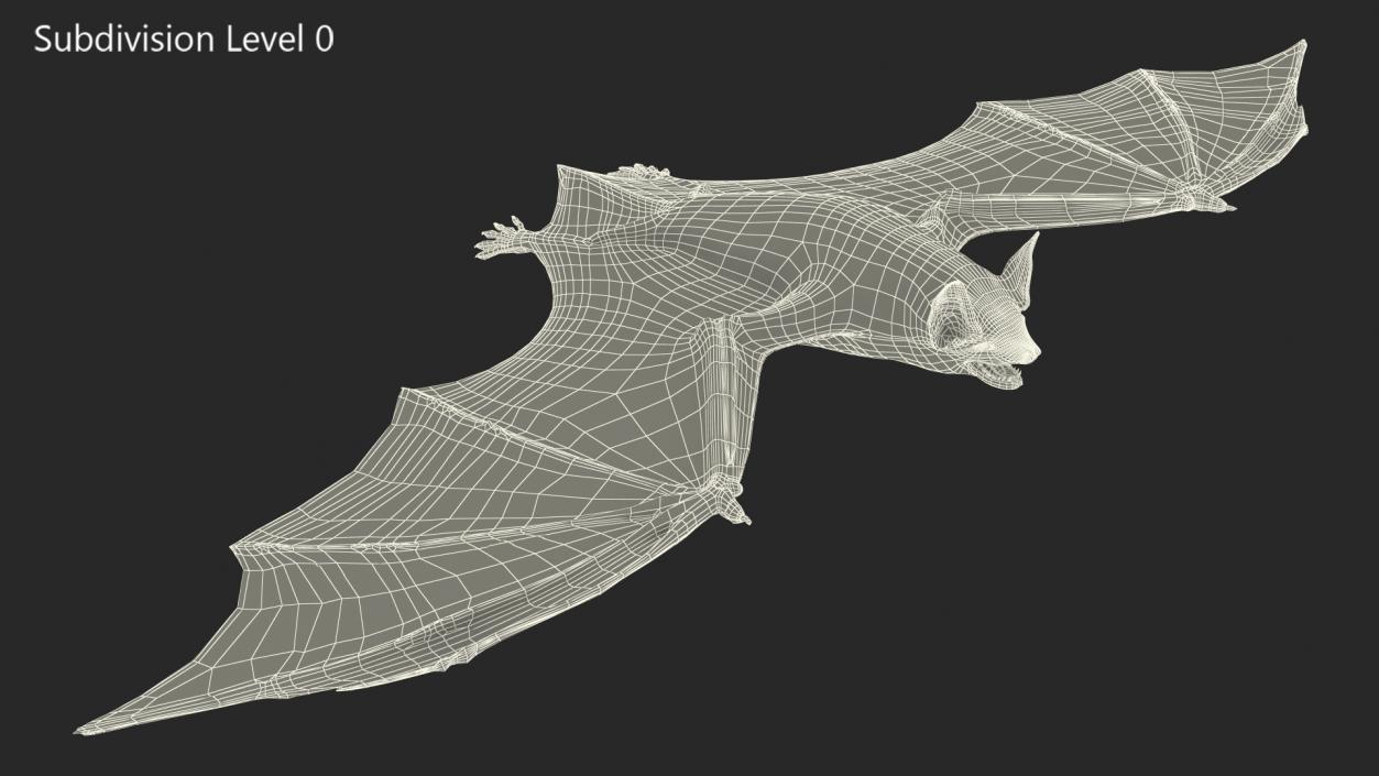 3D Black Bat Fur model