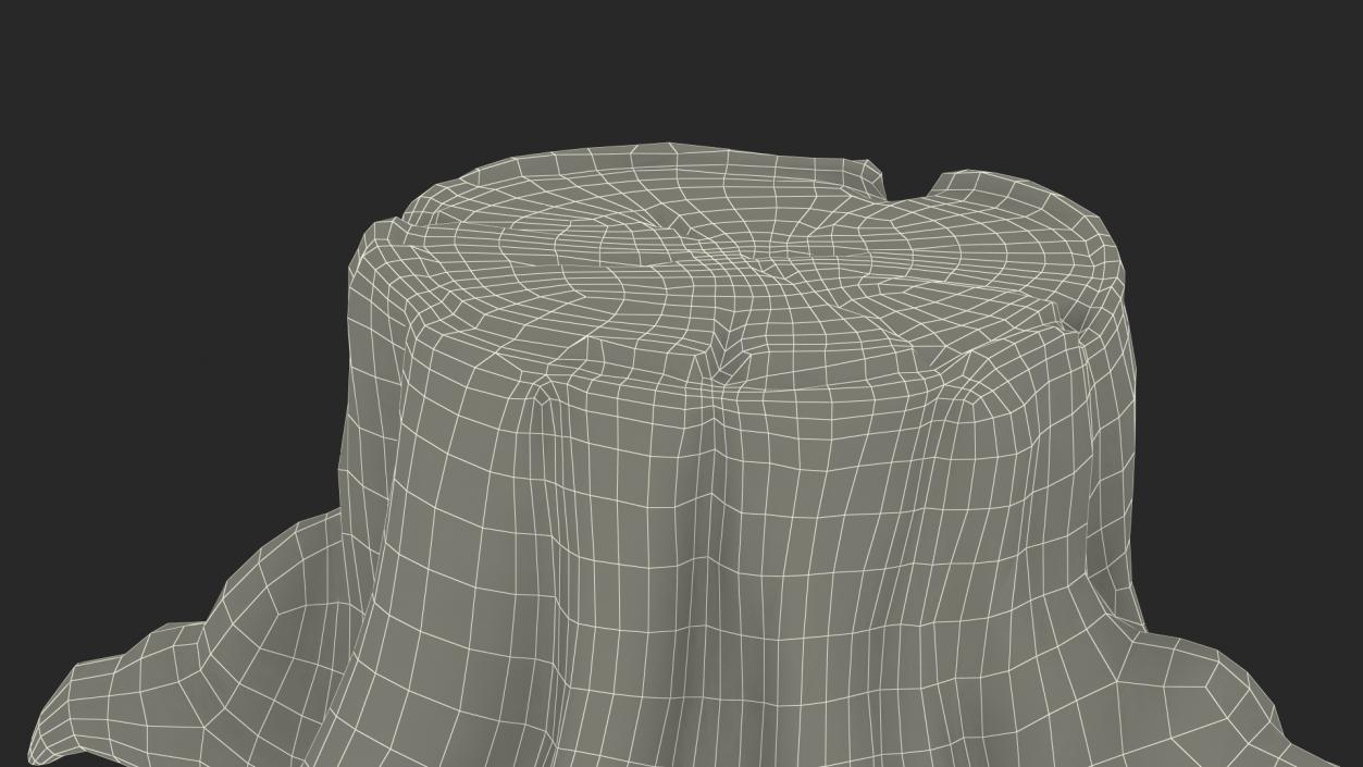 Stylized Tree Stump 3D model