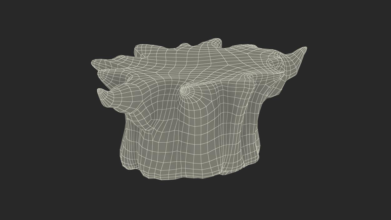 Stylized Tree Stump 3D model