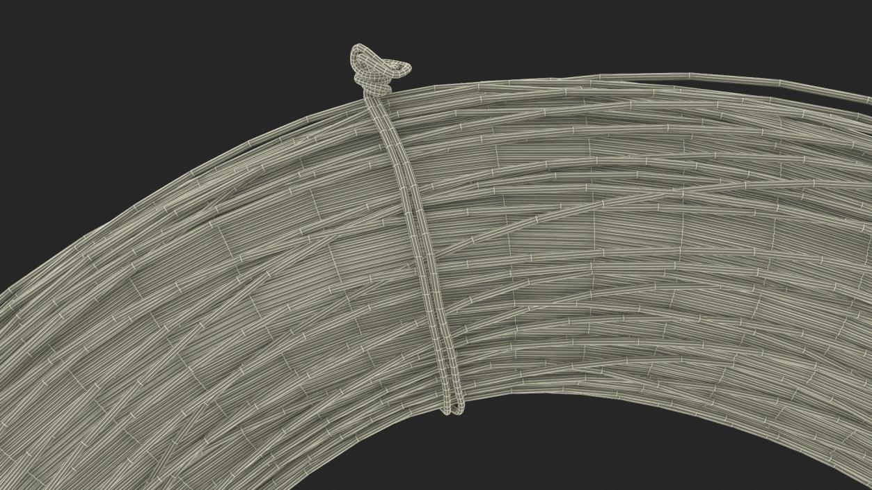 Aluminium Wire Coil 3D model