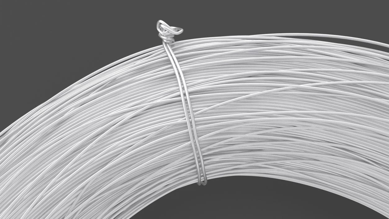 Aluminium Wire Coil 3D model