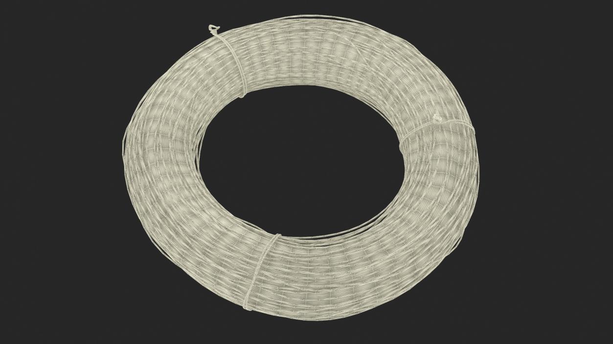 Aluminium Wire Coil 3D model