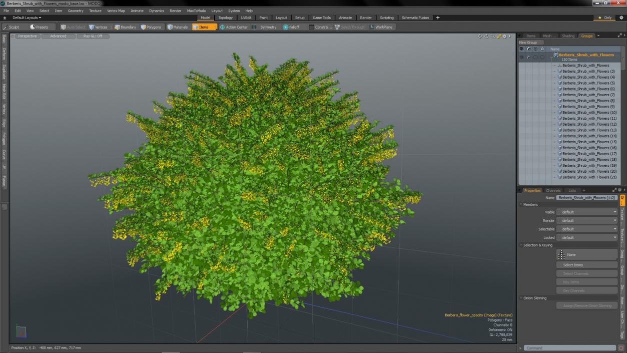 Berberis Shrub with Flowers 3D