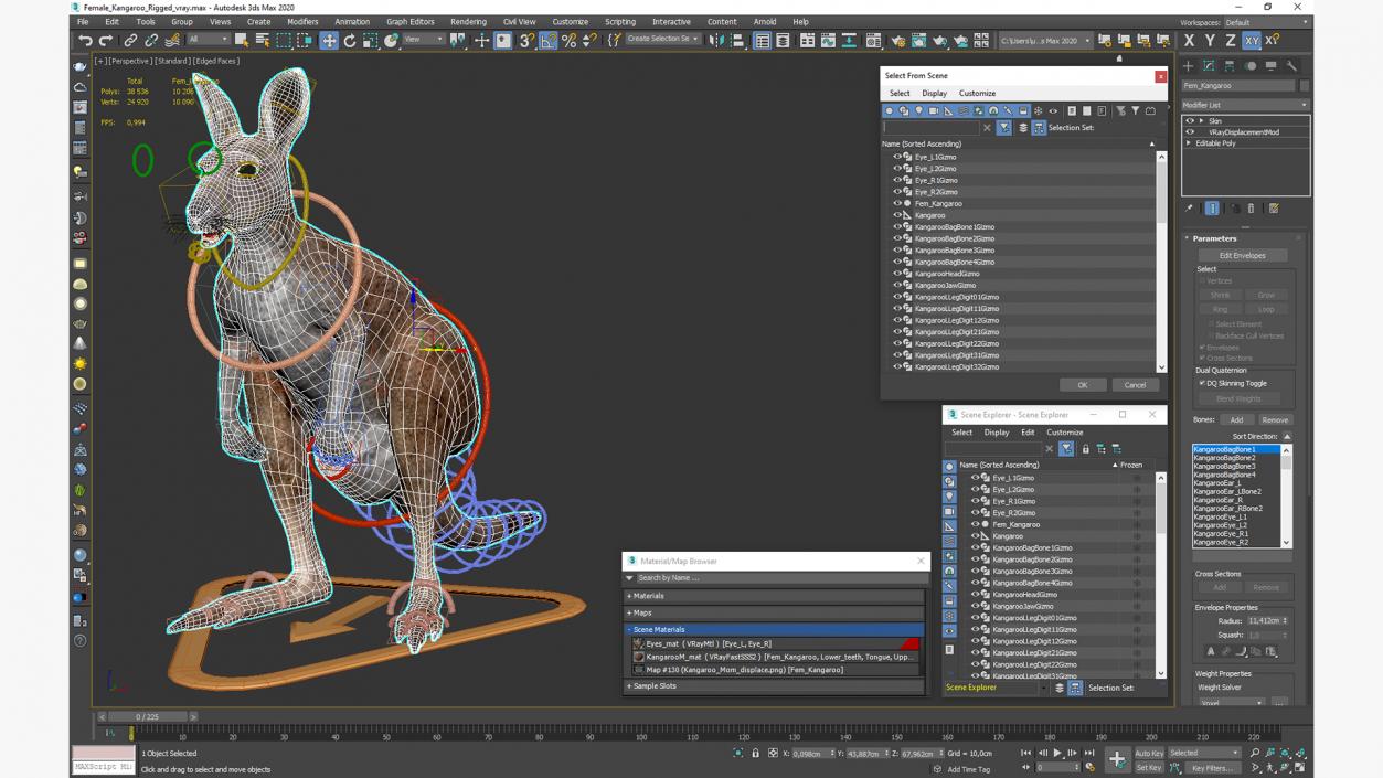 Female Kangaroo Rigged 3D