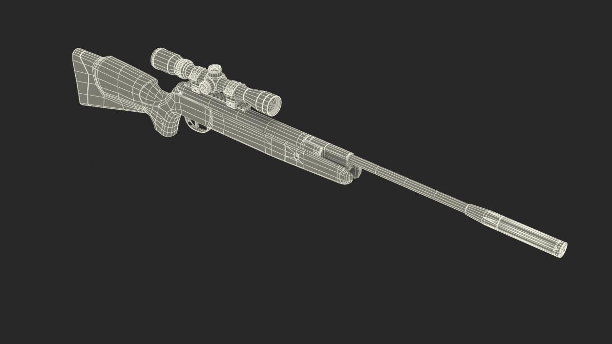 3D Break Barrel Air Rifle with Scope model