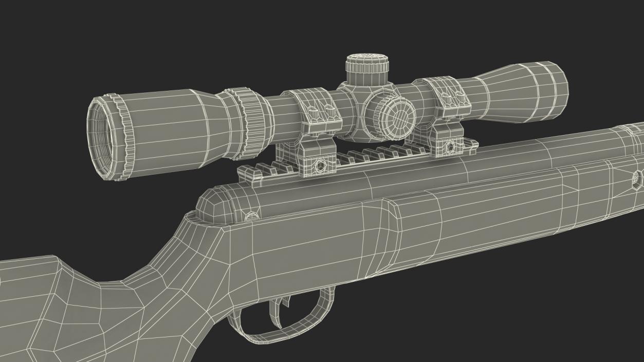 3D Break Barrel Air Rifle with Scope model